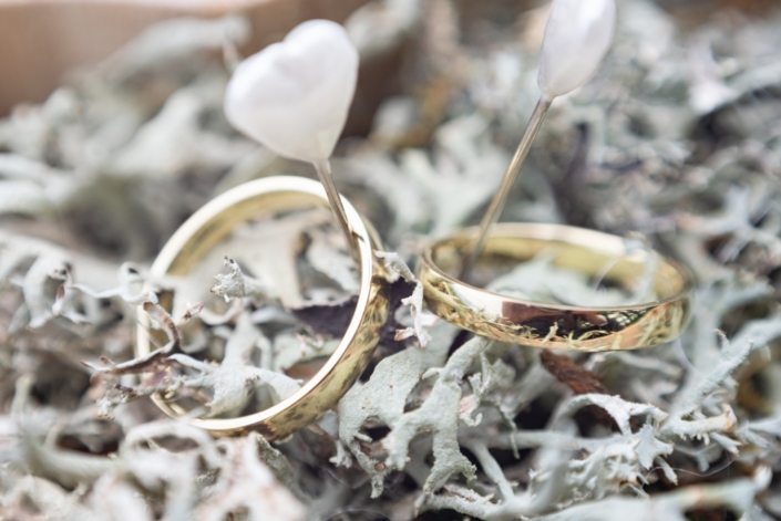 Weddings 💍 Svatební fotografie, fotograf Ústí nad Labem