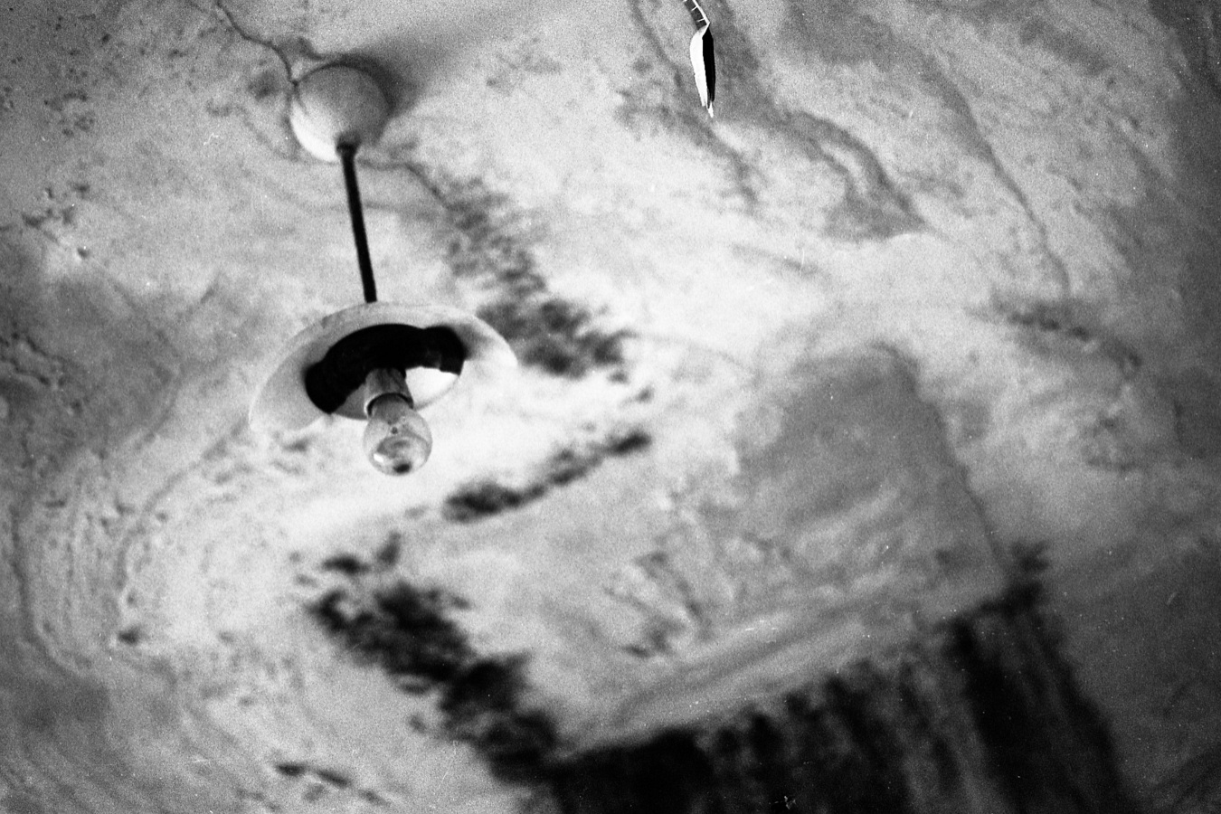 Art projects archive